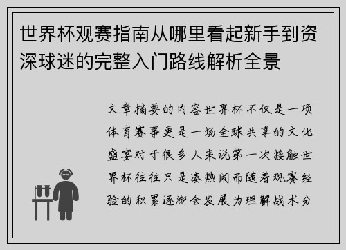 世界杯观赛指南从哪里看起新手到资深球迷的完整入门路线解析全景